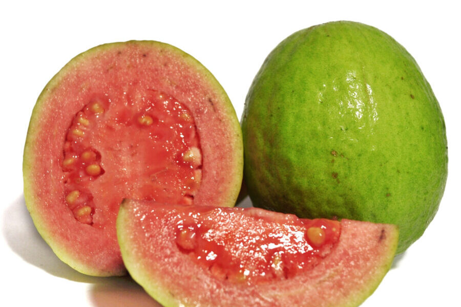 Red guava isolated on white background Produce
