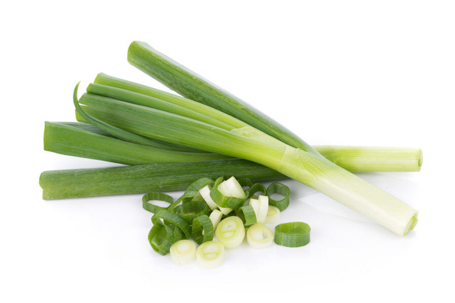 Green Japanese Bunching Onion on white background Produce