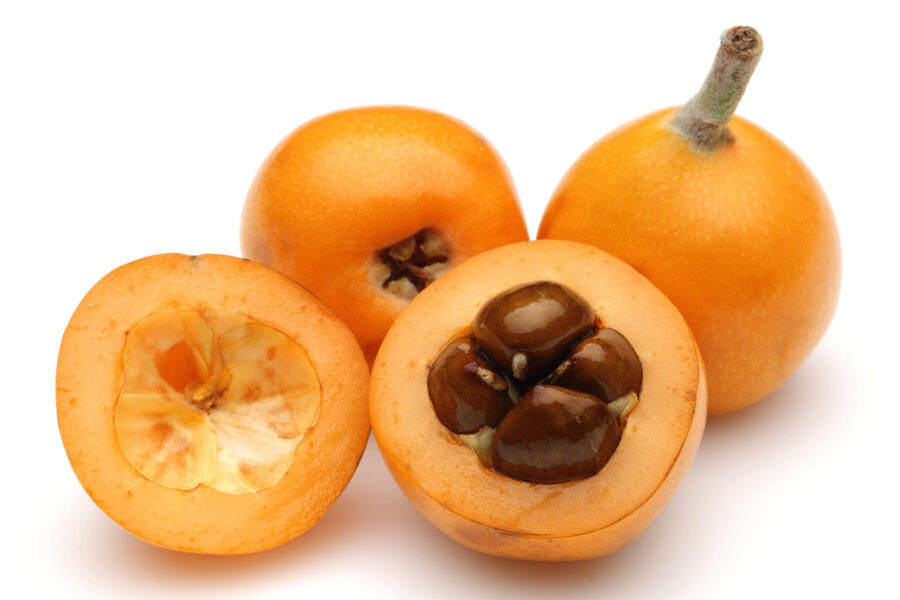Half and whole ripe loquat fruits isolated on white Produce