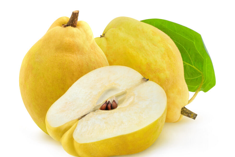 Isolated cut quince fruits Produce