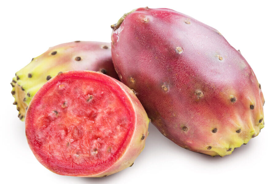 Prickly pears or opuntia fruits. Produce